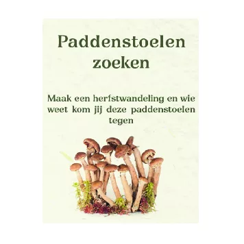 Zine Paddenstoelen